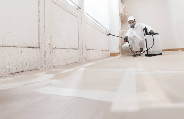 24/7 Emergency Mold Remediation experts in Paris, TN